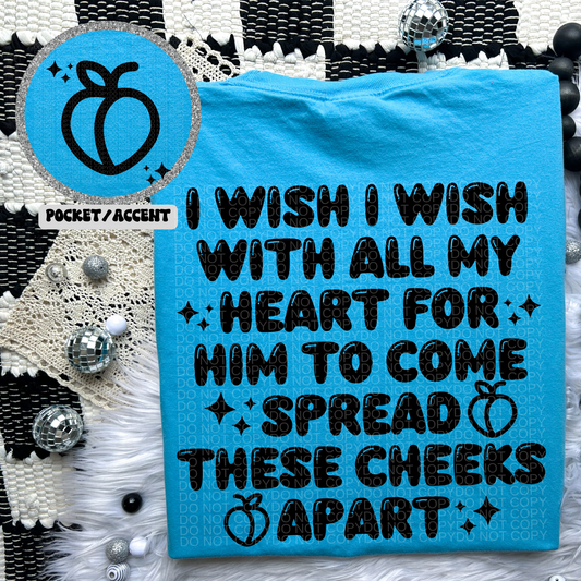 I Wish With All My Heart Comfort Colors Tee